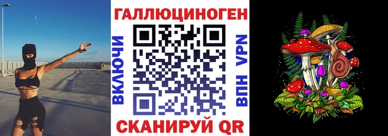 Галлюциногенные грибы мицелий Кандалакша