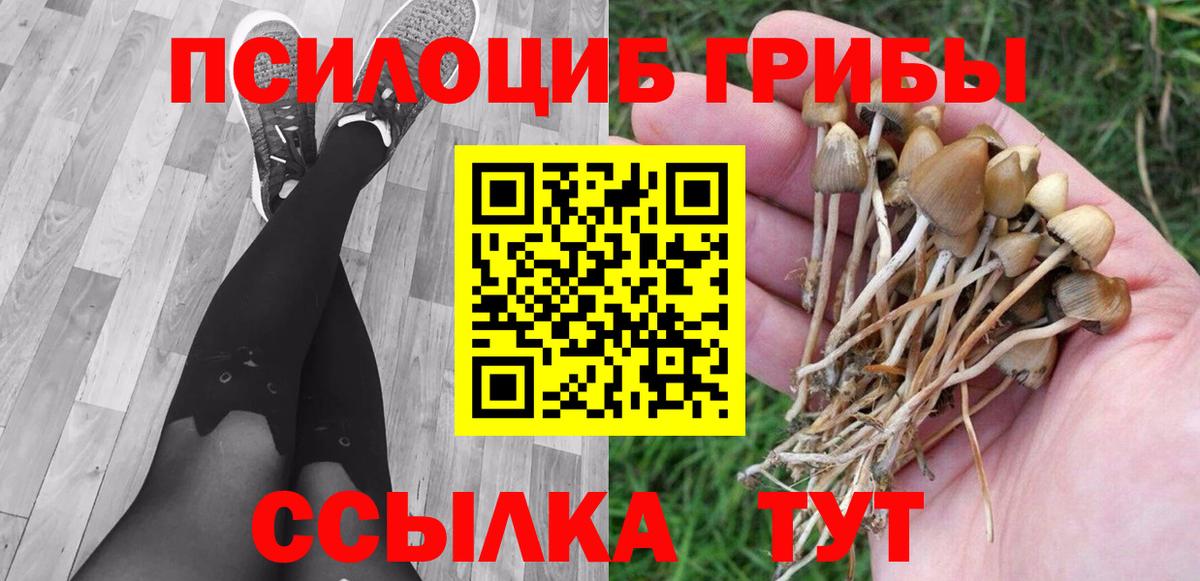 Псилоцибиновые грибы Magic Shrooms  Вход с VPN  Галлюциногенные грибы Cubensis  Кандалакша 