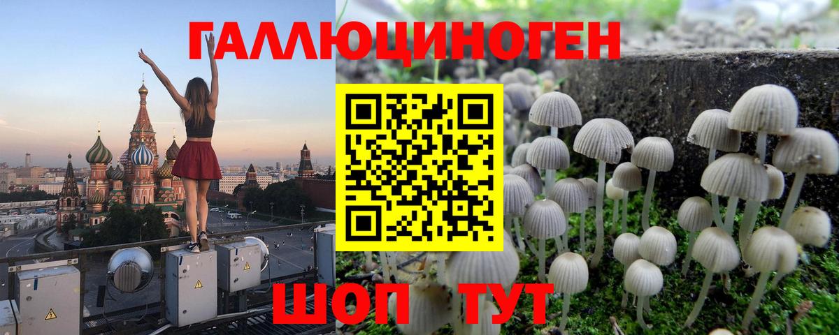 Кодеин Кандалакша