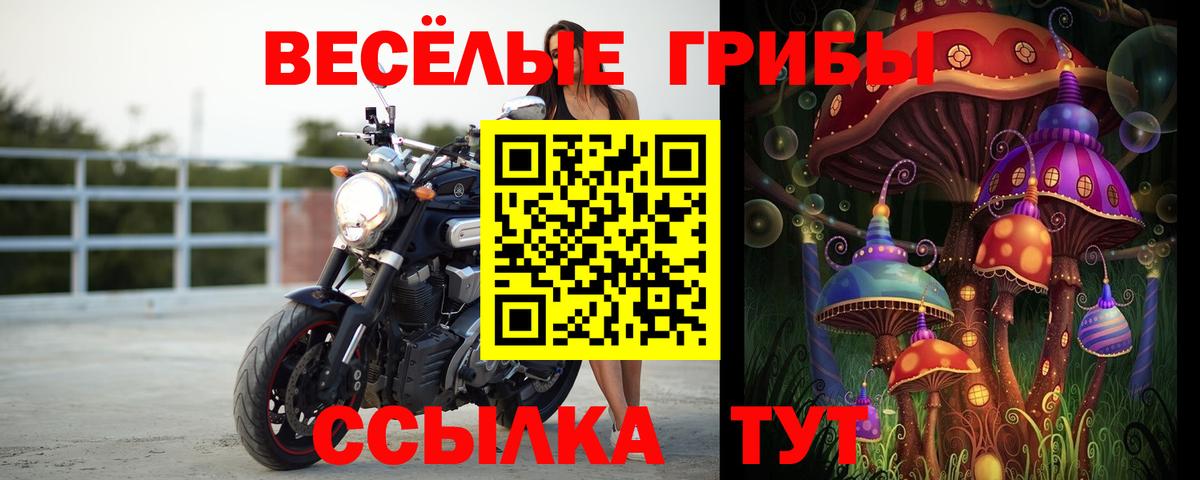 Псилоцибиновые грибы мухоморы Кандалакша